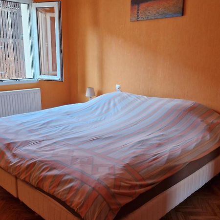 Appartement Le Grillenbreit Colmar Bagian luar foto