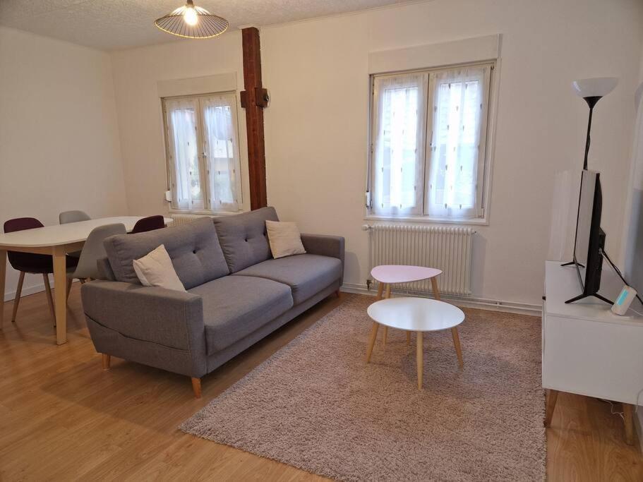 Appartement Le Grillenbreit Colmar Bagian luar foto